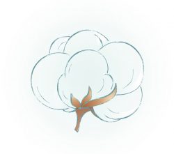 cotton cotton