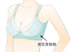 Bra_01 Bra_01